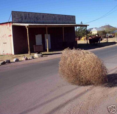 Image:Tumbleweed.jpg